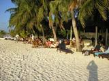 beachbar